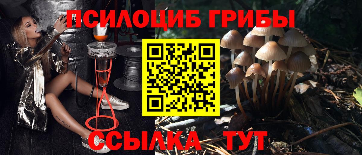 Галлюциногенные грибы Cubensis Тара